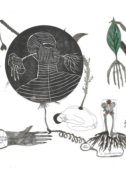 la geografia de la isla